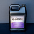 Gorge